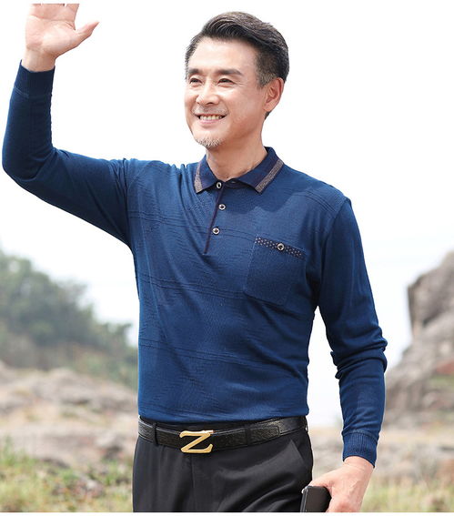 洋湖轩榭2019新款中年男士长袖t恤秋季薄款翻领针织衫爸爸秋装打底衫上衣a