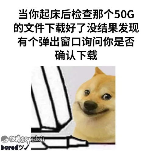 大型撞老公现场,哈哈哈哈真人间失格