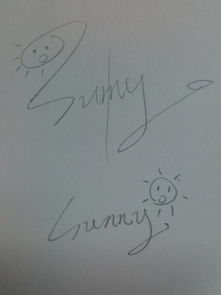 设计一个sunny的签名字体,就是画完漫画后签名的那种,可爱一点好看一点q一点,发图片哦