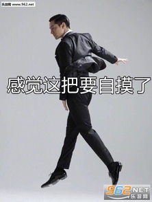 仙女本仙胡歌表情包感觉这把要自摸了胡歌搞笑表情包图片下载乐游网游戏下载
