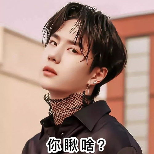 圈中的表情包大户,热巴王一博上榜,看到肖战不笑倒立洗头