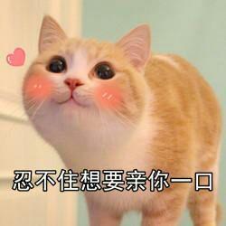 一直回复你嗯嗯的女生怎么追啊
