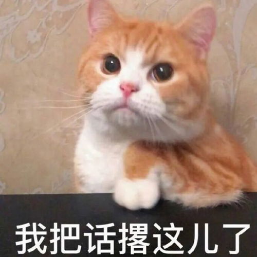 沙雕搞笑表情包对象又没有干饭总得行吧