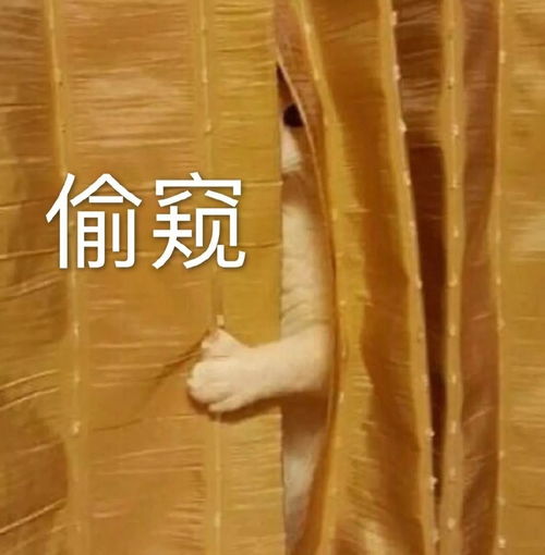 话题假如大学恋爱有期末报告..