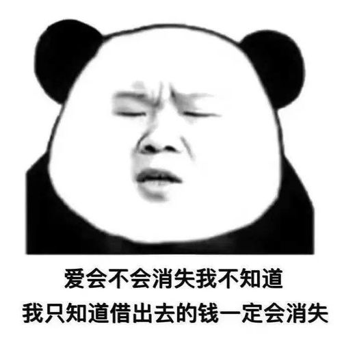 杂图表情包聊天最好用没人反对吧