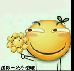 宝宝恶搞表情包