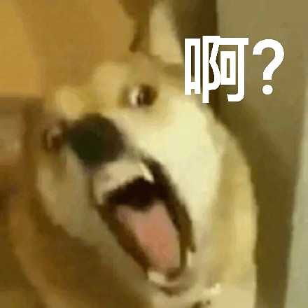 车险哪家比较好呢