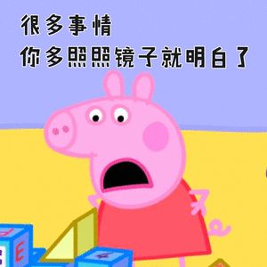 宁远人你知道吗2018年最火的网红居然是一只猪