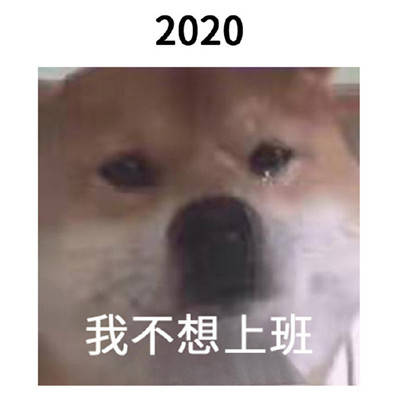 2021一组跨年的搞笑表情包跨过的都会实现的