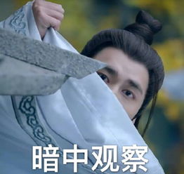 李易峰暗中观察是怎么回事李易峰暗中观察表情包是什么