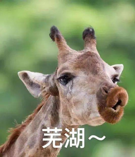今天周一不想上班,只想请假