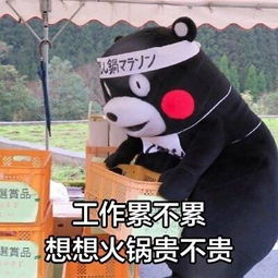 莫生气搞笑版