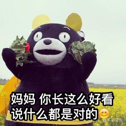 有哪些适合发给妈妈表达爱的表情包