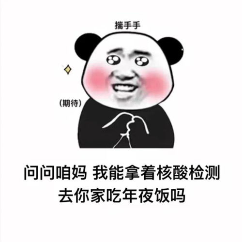 搞笑沙雕熊猫头表情包