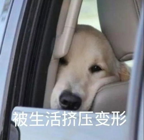 十条笑话女朋友喝多了回来打我一巴掌第二天就再没见过他