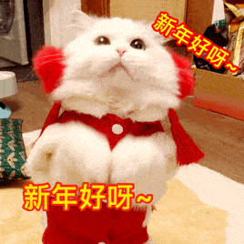快保存最适合过年搞钱的99个猫表情包