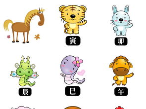 卡通马小猪狮子老虎兔子猴子和动物png图片设计素材高清模板下载73.04mb新年生肖大全