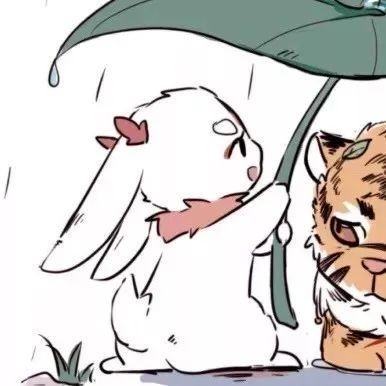 情头cp没有,不可能连小号都没有吧