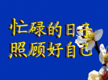 你家群里的中老年表情包竟是这个杭州男人的杰作生日当天上千人给他发红包