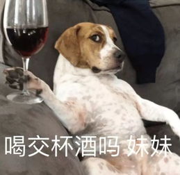 搞笑狗子表情包撩到你了吗,妹妹