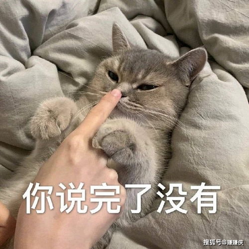 搞笑表情包图片你说完了没有,啊,不要再说了
