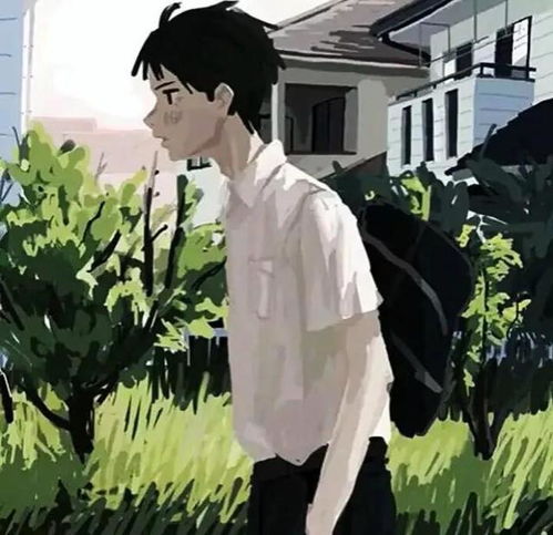 拒绝放收藏夹吃灰的神仙头像