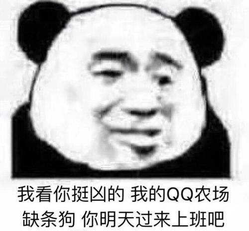 火爆表情包不要惹我,我很恐怖的