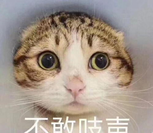 幽默笑话姐别开玩笑了,我也想靠脸吃饭,但那个比送水还累