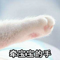 吵架后求和的小套路,黄夏温表情包我给你讲个故事吧