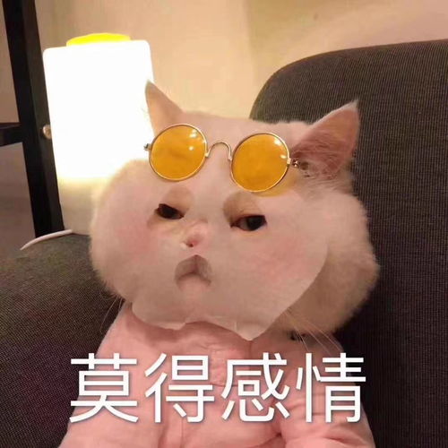 喝多了才敢给他发消息