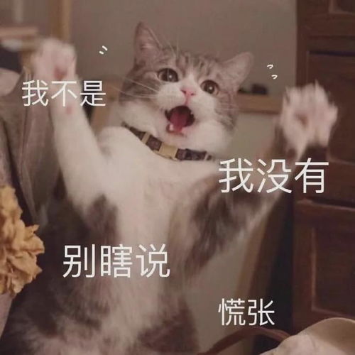 扛起了中餐厅收视率大旗的赵丽颖,转头就被芒果恶意剪辑黑一把