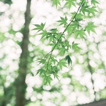 其实我们都在等待,等待的过程就是爱情