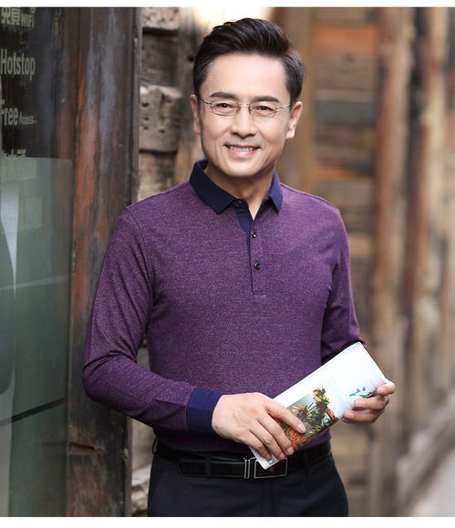 洋湖轩榭中年男士长袖t恤爸爸装秋装打底衫秋款体恤衫宽松翻领中老年爷爷a