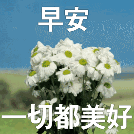 夏天早上好的问候语动态图片大全2020早晨好祝福语表情微信