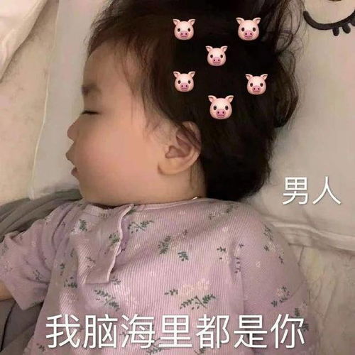 最新热门表情包大全