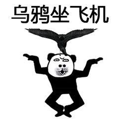 python入门基础篇no.39单分支选择结构条件表达式详解
