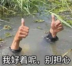 今天愚人节,东东给大家科普一下咋被忽悠瘸的纳尼漫漫无法自拔网易订阅