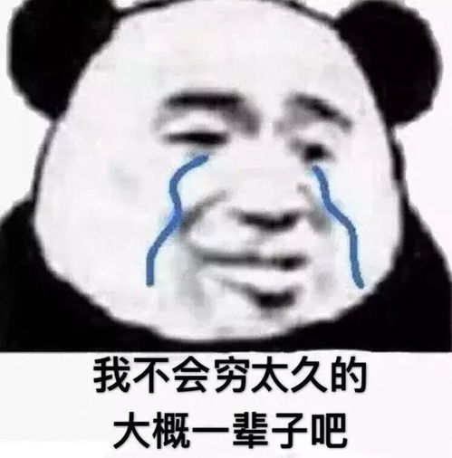 表情包系列,我准备要去喝西北风了,不进来看看