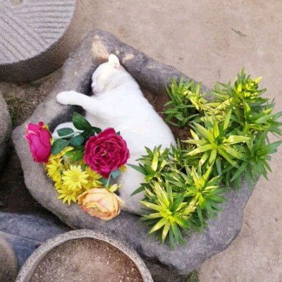40岁左右女人微信头像40岁大人用的幸福头像