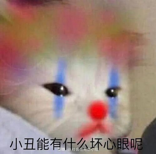 我为什么要莫名其妙出言伤害有好感的男人哇