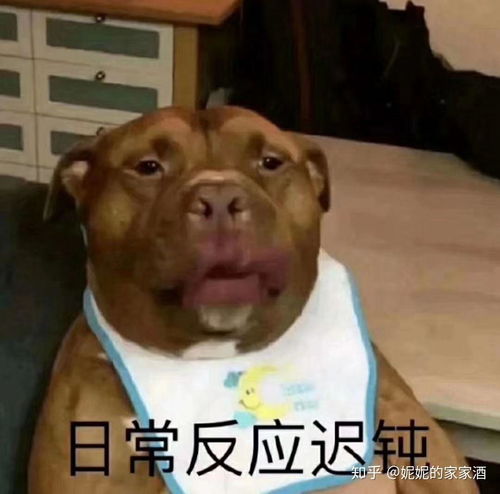 很好看的小说