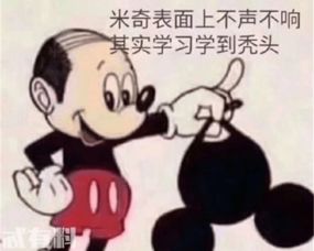 秃头米奇被玩坏是什么梗米奇年龄多大拿掉头套真的是秃头吗