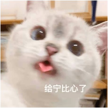 撒娇仙友最好命