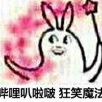堆糖,美好生活研究所