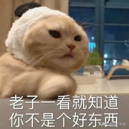 聊天怼人表情包之有趣的灵魂越来越丰富