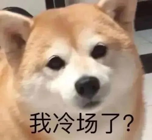 沙雕表情戏精就是要这种感觉