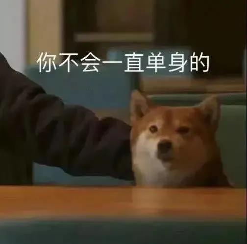 幽默搞笑表情包现在谈恋爱要求真高,还要要求单身