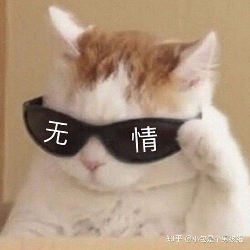 搞笑表情文字pp殿下