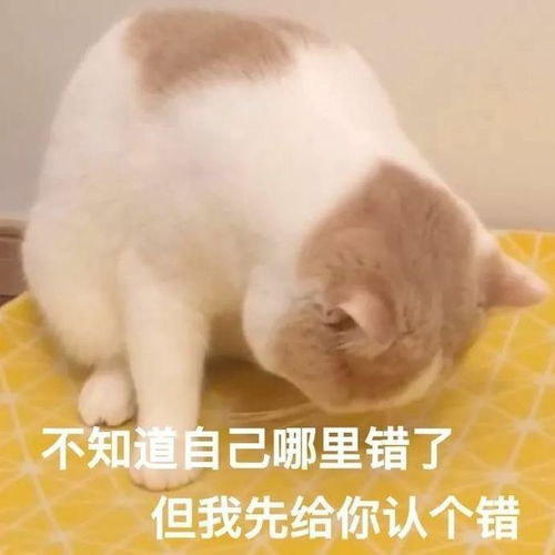 有哪些可爱的求和好的文案