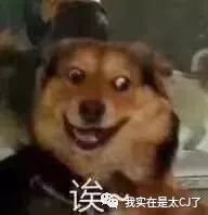 骚瑞,但这一家子也太搞笑了